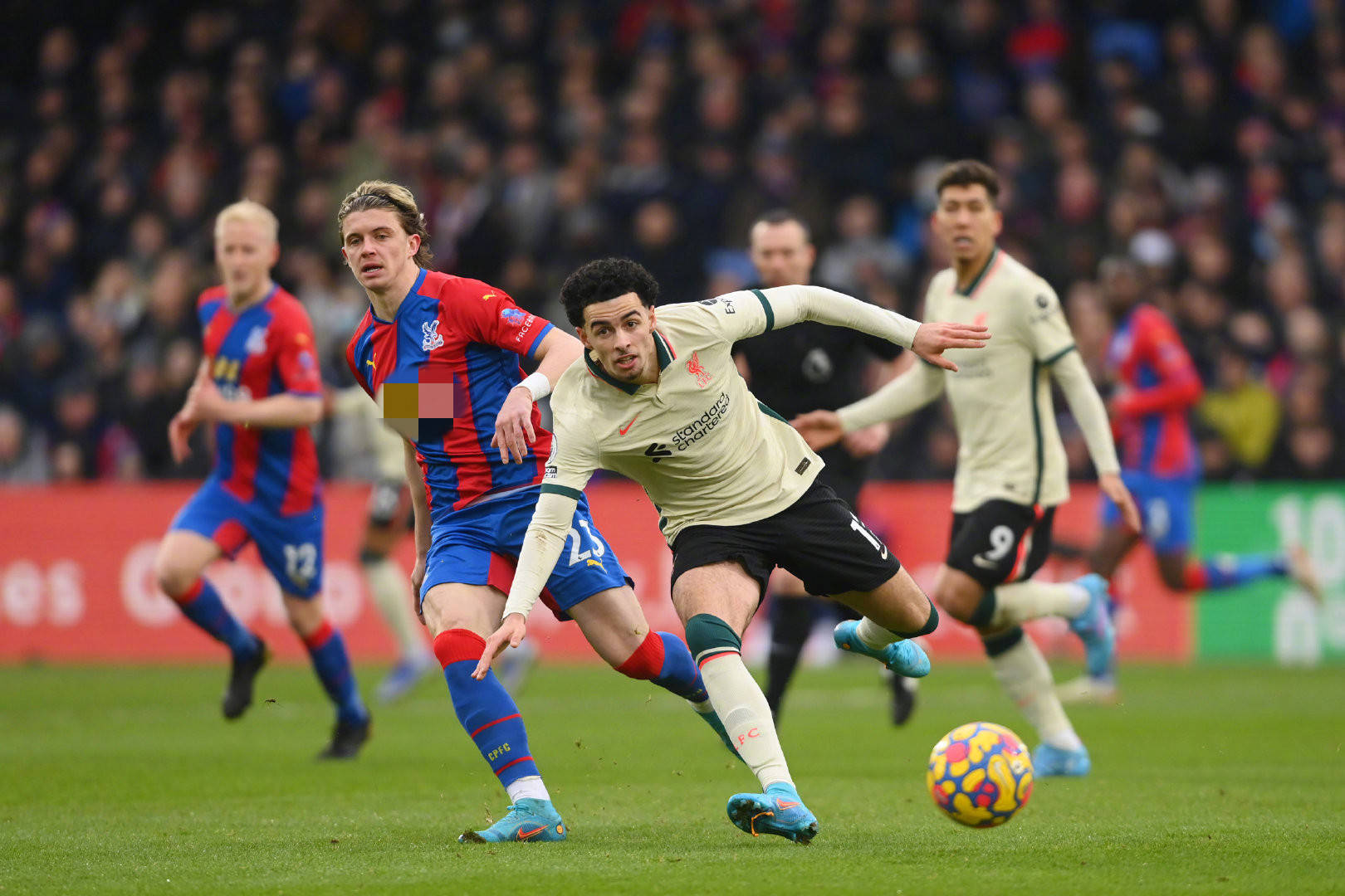 推荐使用酒 推荐使用酒