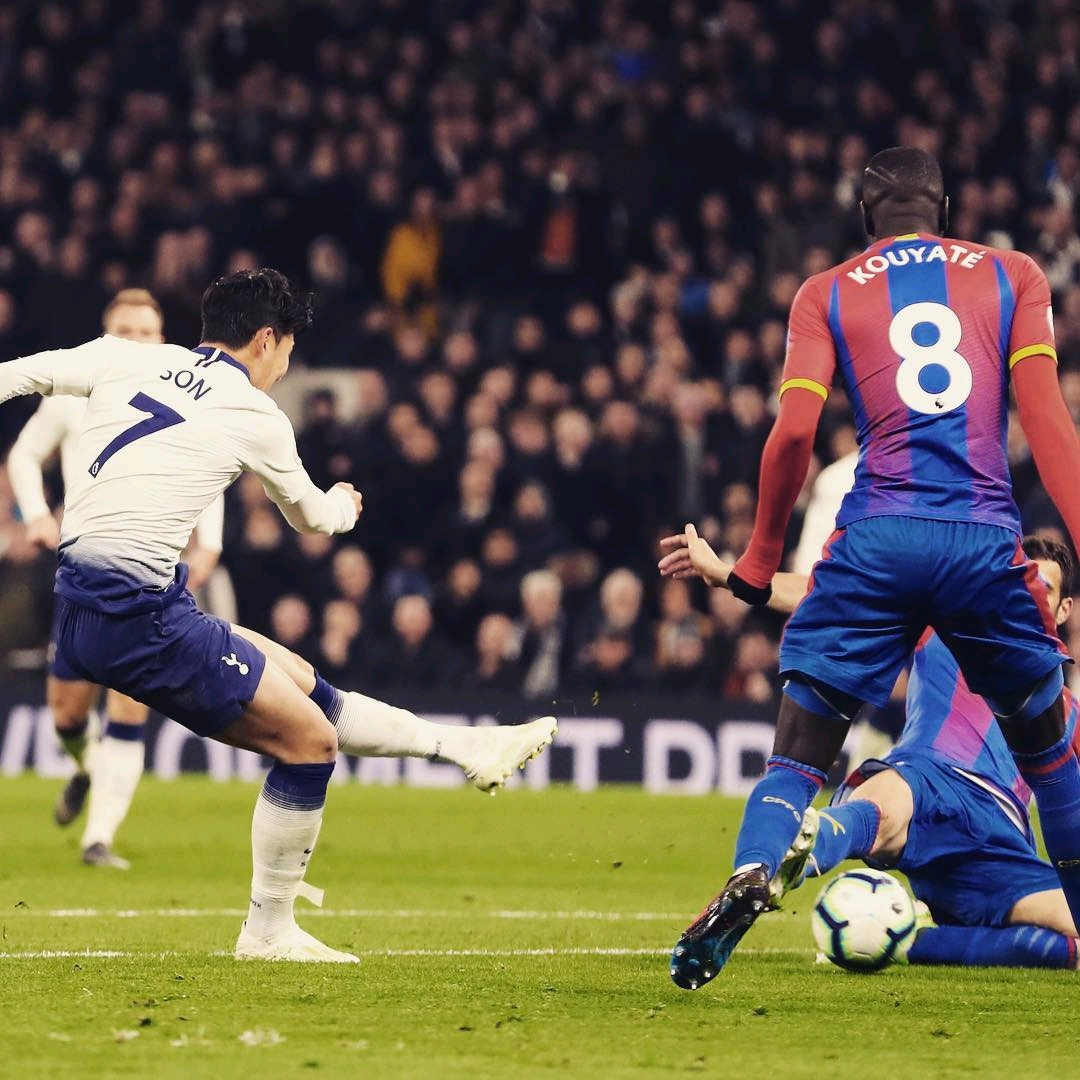 他们需要在 他们需要在